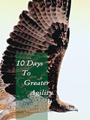 cover image of 10 Days to Greater Agility